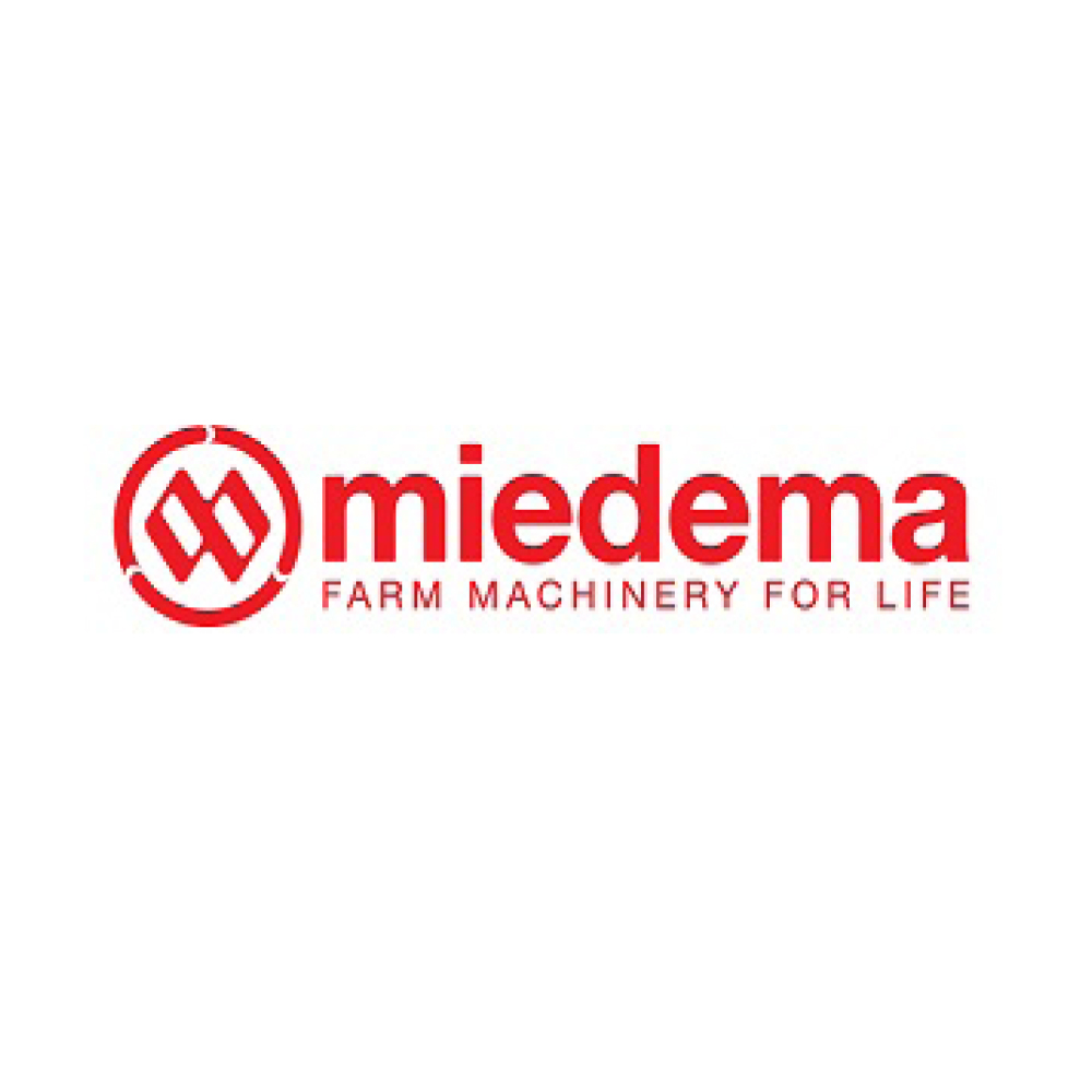 Miedema